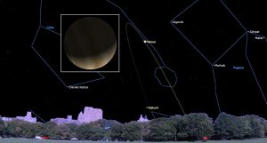 Feb14b-2025 at 630 pm - Venus at Greatest Illuminated Extent